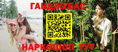 молекула духа Будённовск
