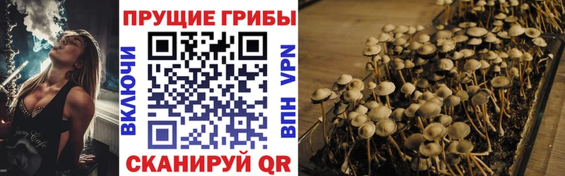 Галлюциногенные грибы MAGIC MUSHROOMS  Тайшет 