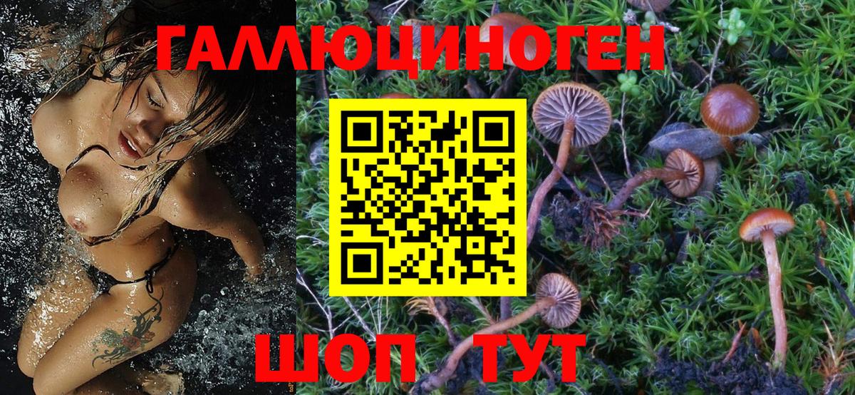 Галлюциногенные грибы мицелий Тайшет