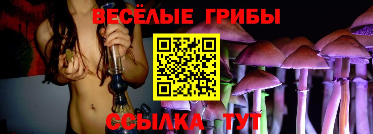 Псилоцибиновые грибы Magic Shrooms  Вход с VPN  Тайшет 